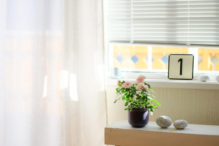 How Simple Changes Can Increase Productivity